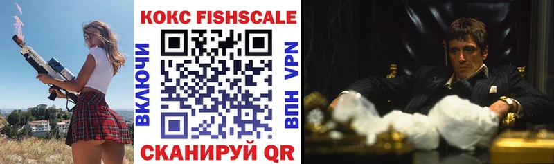 COCAIN Fish Scale  продажа наркотиков  Дальнегорск 
