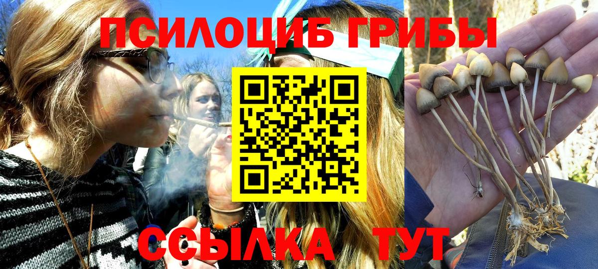 Псилоцибиновые грибы мухоморы  Вход с VPN  Дальнегорск 